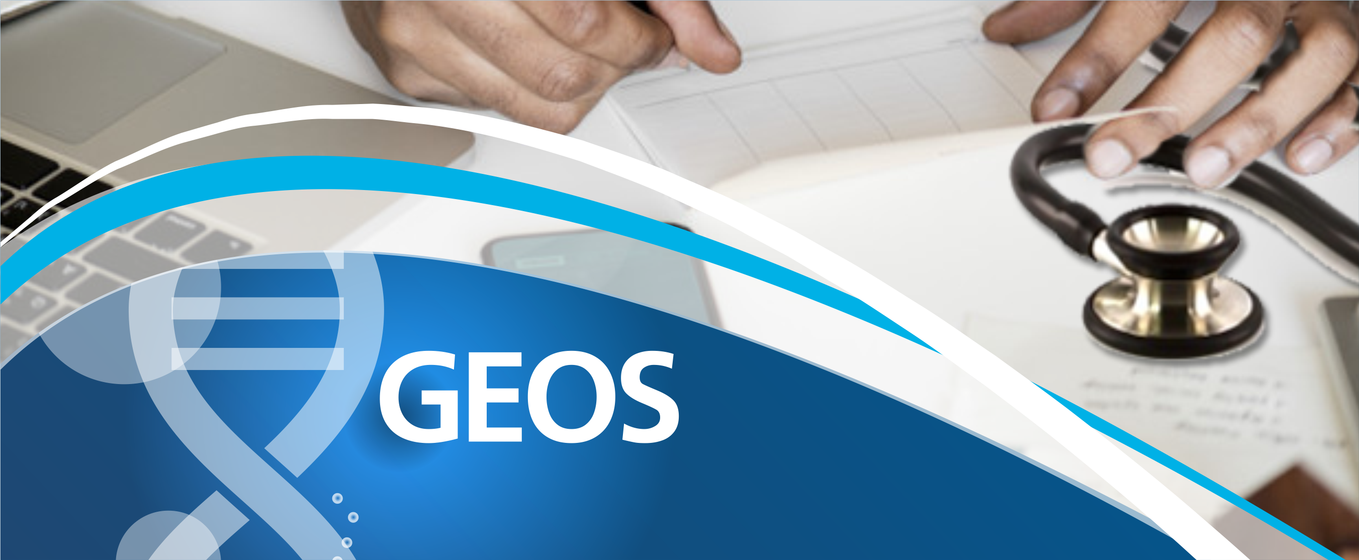 Gestión económico financiera