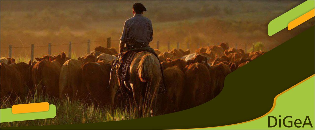 Comportamiento Organizacional y RRHH en la Agroempresa