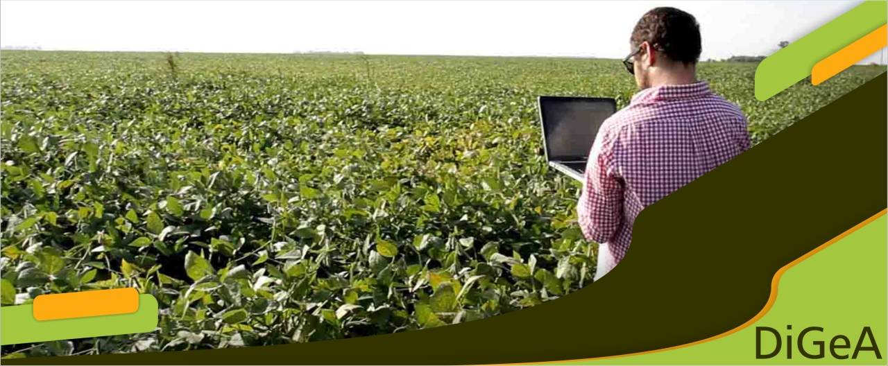Tecnología de la Información y Gestión del Conocimiento en los Agronegocios