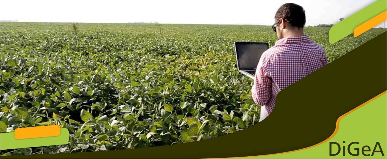 Tecnología de la Información y Gestión del Conocimiento en los Agronegocios