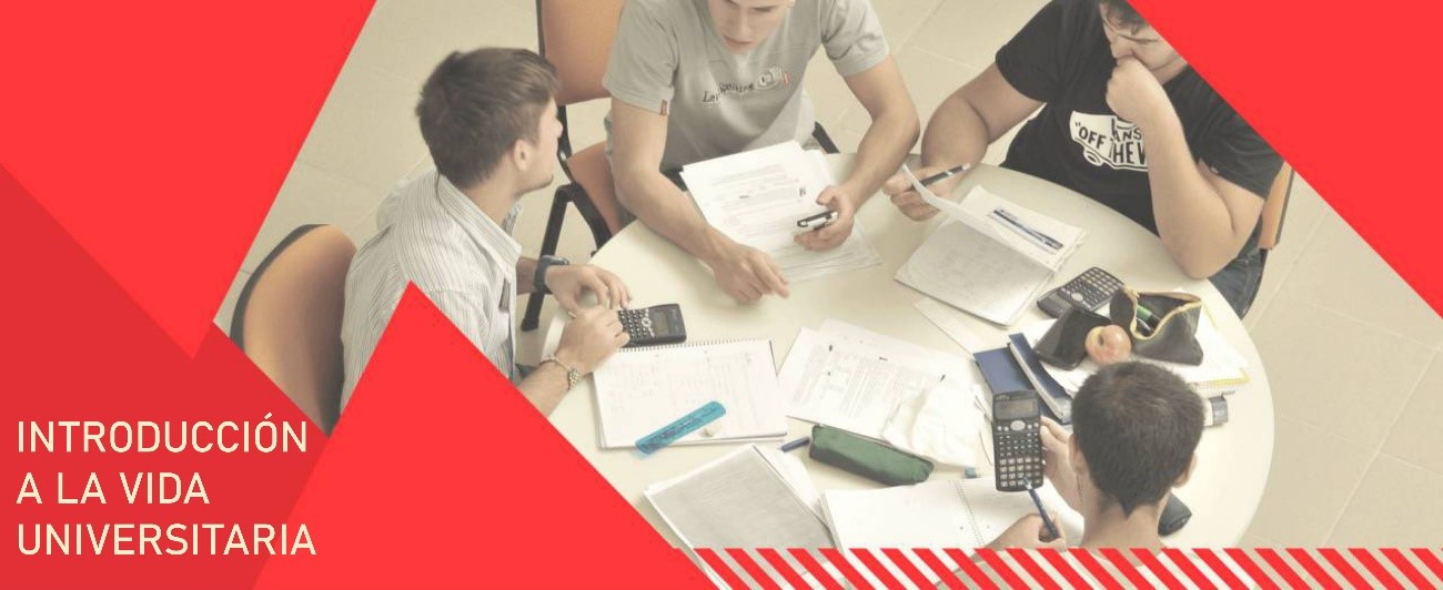 Administración, Contabilidad y Economía - ICE - Curso 1