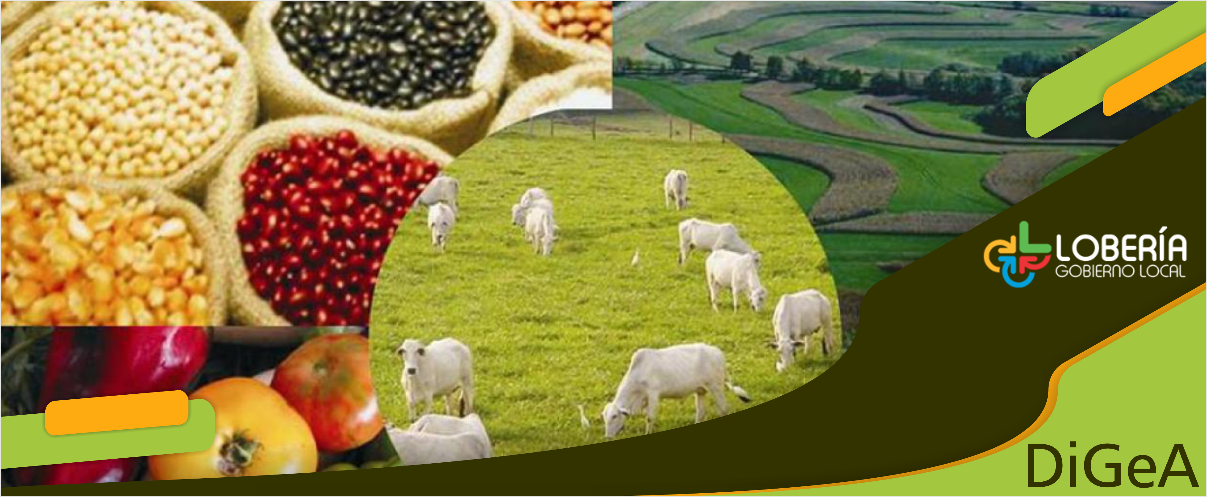 Introducción a los Agronegocios: Cadenas Agroalimentarias