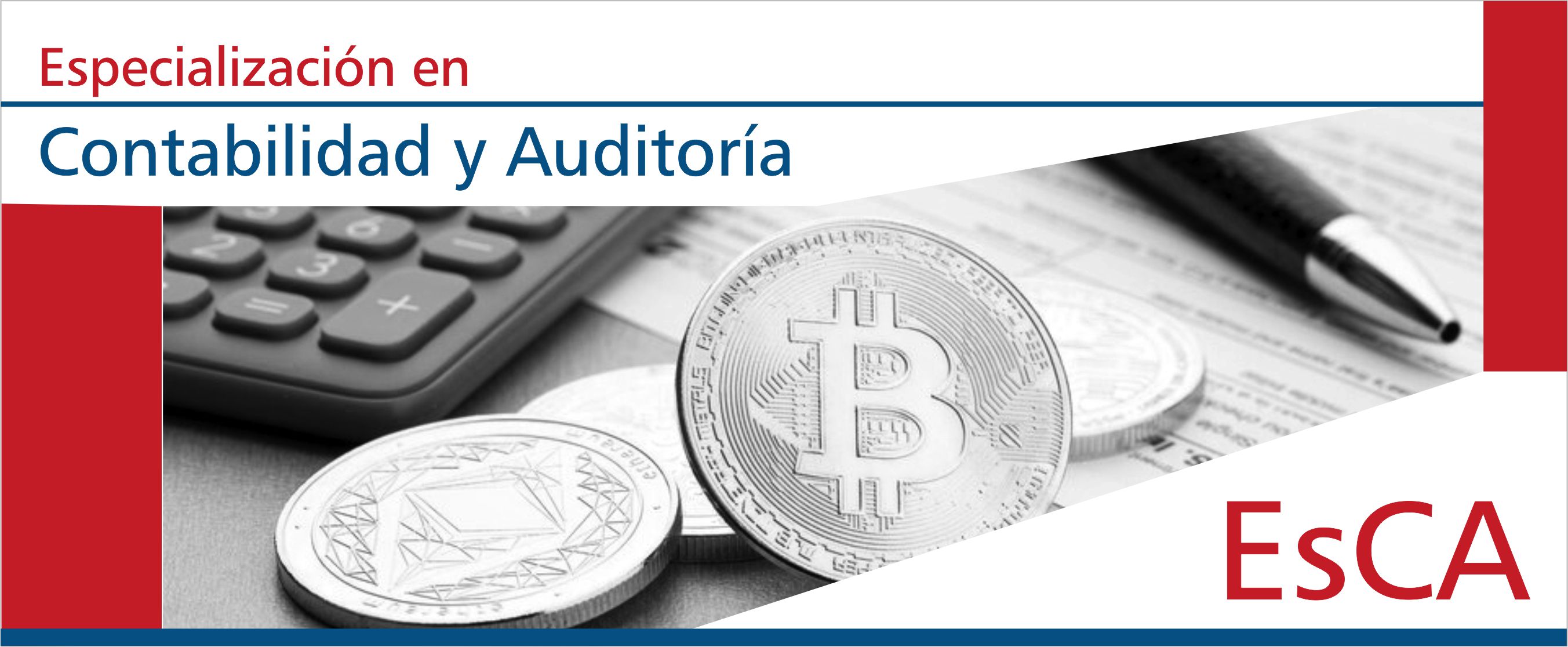 Seminario Electivo: Criptomoneda e Información Contable